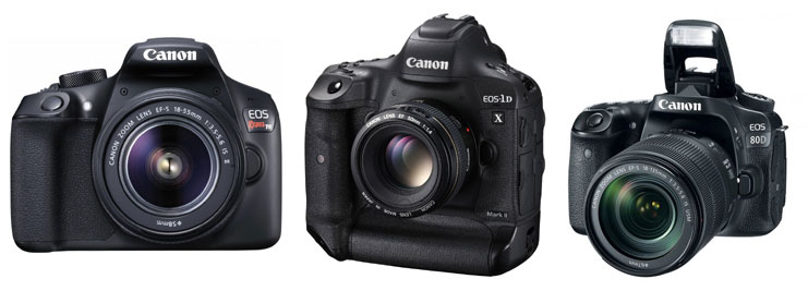 ID photo with Canon SLR cameras
